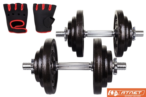 Гантели металлические Hop-Sport Strong 2х20кг