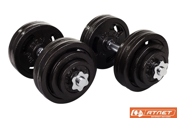 Гантели металлические Hop-Sport Strong 2х30кг