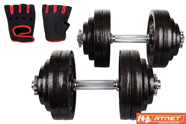 Гантели металлические Hop-Sport Strong 2х30кг