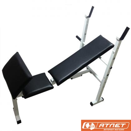 Скамья со стойкой для штанги Newt ProGym Scott NE-SK-0679